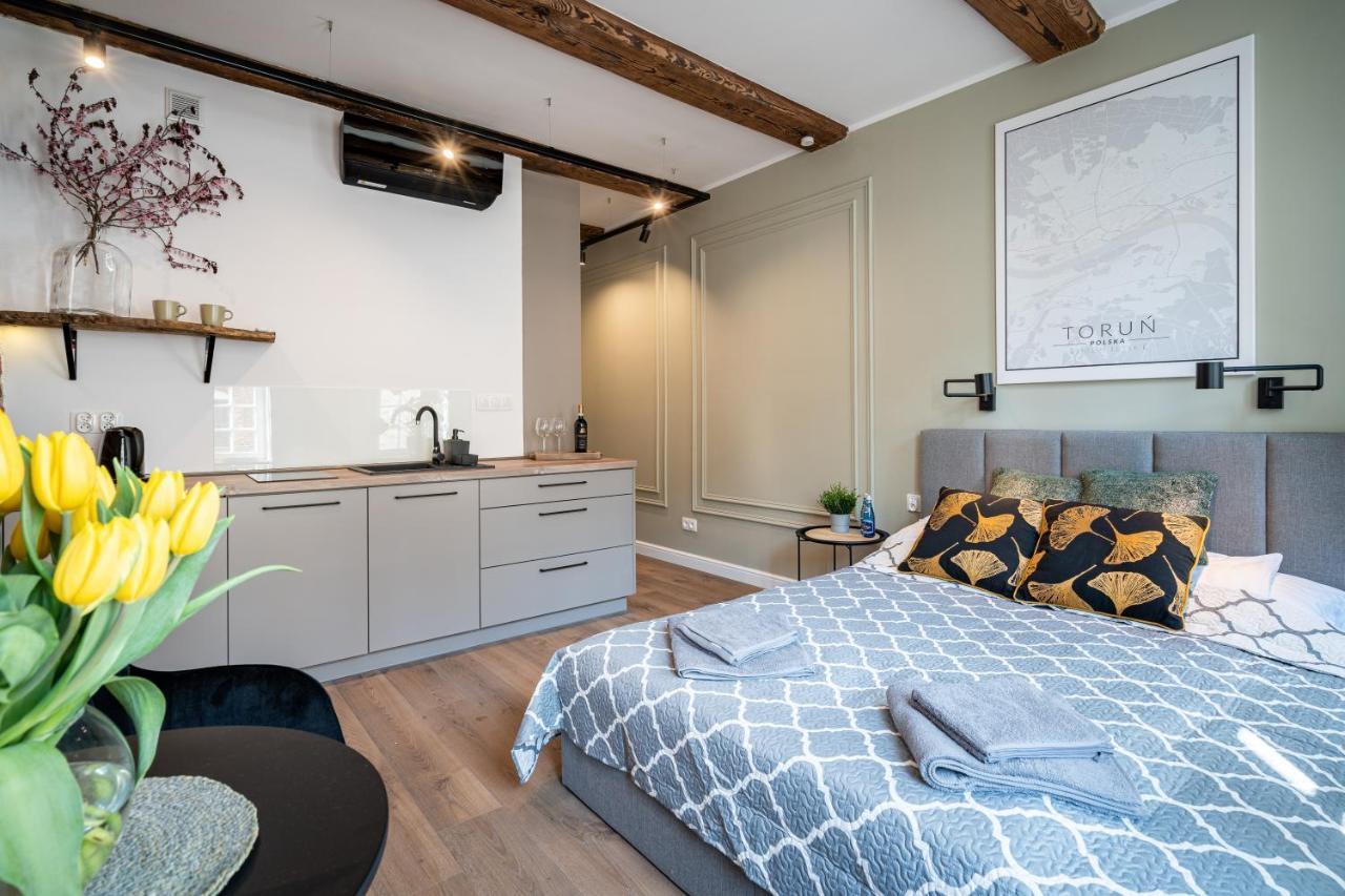 Stary Toruń Apartamenty Stare Cegly מראה חיצוני תמונה